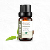 Camphor Essential Oil
